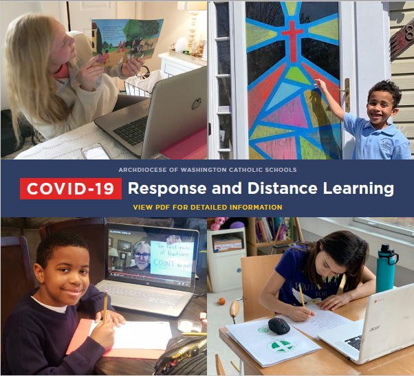 COVID-19 Response and Distance Learning